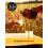 Mother Root Ginger (500ml) | Award-Winning Fiery 4
