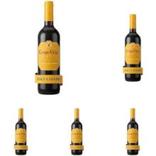 Campo Viejo Tempranillo Rioja Wine 75 cl Pack of 5