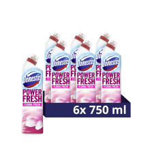 Domestos Power Fresh Floral Fresh Toilet Gel eliminates 9999 of germs limes