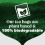 PG Tips PG Tips Original  Black Tea Bags Bulk  One Cup  Refreshing  Flavourful  Ide 2