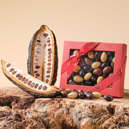 Walnut Tree – Gourmet Almonds Gift Covered in Milk White  Dark Chocolate – 2