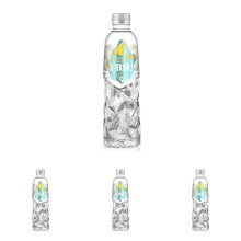 Ursu9 Natural Alkaline Mineral Water 6 x 500ml Ph9 Naturally High in Cal