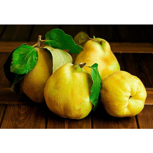 Alises Dulce de Membrillo  Spanish Quince Paste 400g 2