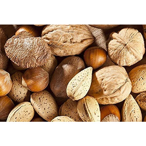 Mixed Nuts in Shell 500 g  Walnuts Hazelnuts Pecans Almonds  Nutritious Veg