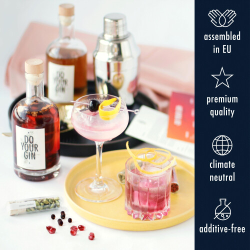 DO YOUR GIN l DIY GinMaking Infusion Kit  Cocktail Kit  Bartender Gift Bask 2