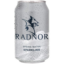 Radnor Sparkling Spring Water Cans 330ml Box 24