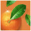Flash Flash Spray Wipe Done Kitchen Cleaning Sprays Bright Mandarin 8 Litres 800 2