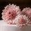 Culpitt Modelling Paste Rose Beige Sugarpaste Gumpaste For Cake Decorating 3