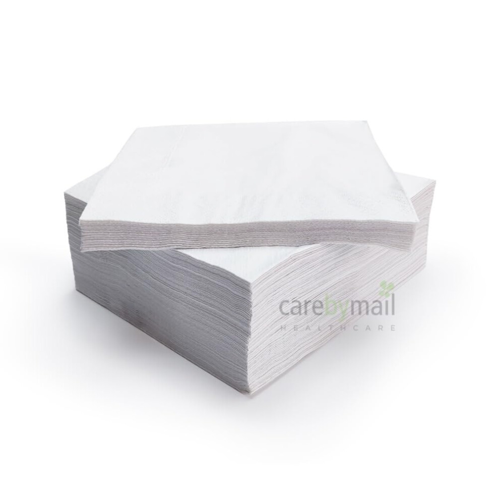 Carebymail Paper Napkins 33Cm X 33Cm 2 Ply Disposable Paper Napkinsserviettes 100 P