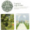 Artificial Plant Topiary Cage Grass Frame Rack For Flower Plastic Material 6 Inch 4 Pack 3