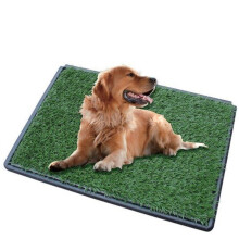 Dog Toilet 2 Mats Dog Toilet Outdoor/Indoor Potty Training Ebook Dog Toilet for Home