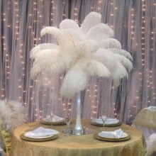Feather Crafts In Timeless Style, Cruelty-Free Ostrich Feathers For Creatives Who Cherish Sustainability, Natural Feathers That Bring Elegance To