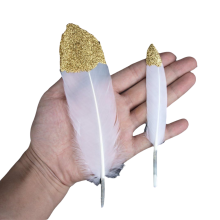 Piume artigianali dorate, piume da sella tinte resistenti ai graffi per i tuoi modelli di moda e progetti fai da te, pulite professionalmente e a
