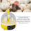 Portable 4-Egg Incubator for Duck & Chicken with Auto Features 8