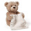 The Peek-A-Boo Teddy Bear 1