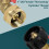 Propane Refill Adapter Solid Brass for 1 lb Bottles with LeakProof Shut Off Valve 4