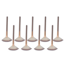 Champagne Aluminiumrohr 9er Set weicher Fächer-Pinsel für Make-up Zuhause