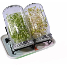 Sprout Haven, Wide Mouth Mason Jars with Stainless Steel Sprouting Lids, Seed Sprouting Kit for a Home Sprouting Paradise