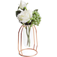 Minimalist Style Gold Desktop Glass Vase, Clear Vase with Hydroponics Vase for Wedding Decor, Creative Geometric Design with Metal Frame