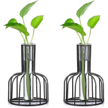 Hydroponic Plant Haven, Modern Design Clear Vase With Metal Frame Support For Your Desktop Size Garden, Unique Home Decor That Adds Greenery To Any Sp