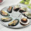 Rust Resistant Oyster Shell Tray Round Seafood Plate Stainless Steel Shells 3