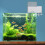 Automatic Fish Feeder with Timer, Battery Operated Aquarium Auto Feeder, 4 Intervals Adjustable Portion 4