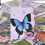 Butterfly Oracle Cards: 44 Cards Tarot Deck English Version Divination Oracle 4