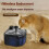Pet Water Fountain 2.8L Capacity Continuous Water System-Black 4