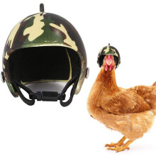 Pet Safety Helmets for Small Poultry, Adjustable Chicken Hats with PP Plastic, Protects the Heads of Chickens and Ducks, Easy to Carry, Small and Port