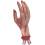 Smiffy's Smiffys Severed Gory Hand Costume Prosthetics 2