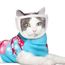 Breathable Cat Mouth, Pet Care Mouth Breathable Dog Color Face Care Mouth