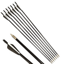 30 Inch Archery Fiberglass Arrows OD 8 mm Spine 500 Target Practice Arrows with 3 Inch Rubber Feathers for Recurve Compound Bow, Pack of 12 Black