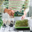 Seedling Heat Mat With Consistent Temperature Control, 3Gear Temperature Adjustment, Rapid and Even Heating 3