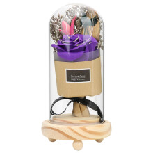Trandafir etern în cupolă de sticlă, floare artificială romantică, trandafir luminos, cadouri pentru femei, trandafir decorativ cu bandă LED cu