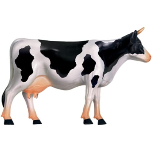 4D Cow Anatomy Educational Model with Realistic Organ Details for Interactive Learning and Teaching 1