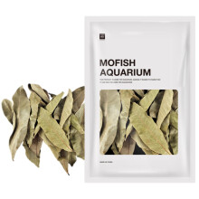 Water purifier leaves, Longan leaves for resting Clean and safe decorative items for aquariums, fish tanks, and other places. Green.