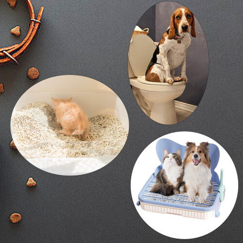 Pet Potty Station Heightened Effluent Framework Against-Blue 1