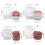 3D Flower Candle Molds Rose Casting Molds Silicone Mould-A 4