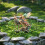 Durability Acrylic Forest Fairies Yard Stake Modern-OH394 7