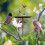 Decorative Handcrafted Iron Outdoor Planter Featuring Bird 4