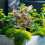 Durability Acrylic Forest Fairies Yard Stake Modern-OH394 4