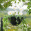 Landscape Breathable Garden Decoration Stake Identifier 2