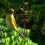Decorative Handcrafted Iron Outdoor Planter Featuring Bird 5