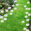 Landscape Breathable Garden Decoration Stake Identifier 5
