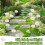 Landscape Breathable Garden Decoration Stake Identifier 6