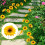 Reusable Landscape Plant Identification Sign Crafted From 4