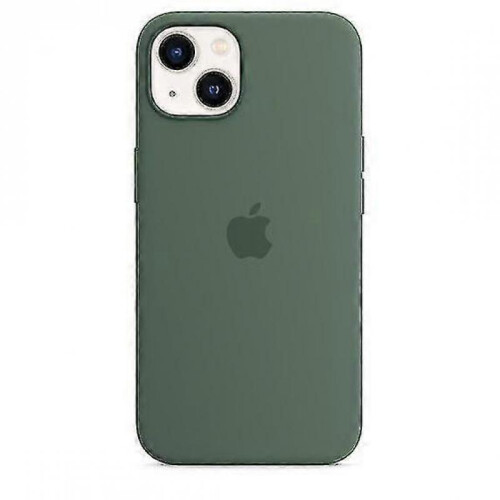 (Eucalyptus) Silicone Case With Magsafe For Iphone 13 Mini Phone Case-mxbc