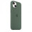 (Eucalyptus) Silicone Case With Magsafe For Iphone 13 Mini Phone Case-mxbc 2