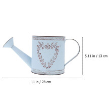 Iron Flowerpot Metal Watering Can Vintage Vase Indoor Outdoor Desktop Decoration