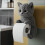 Kittys Thema Muurbeugels Tissuepapier Dispenser Hars-E1 4